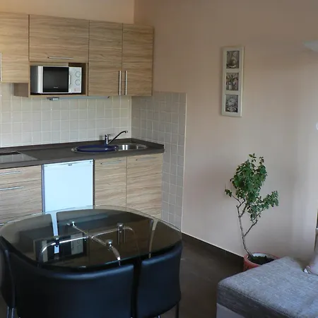 Nyirfa Apartmanhaz Sarvar