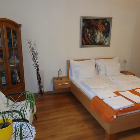 Nyirfa Apartmanhaz * Sarvar