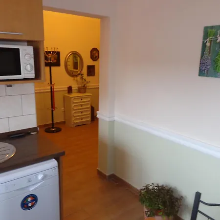 Apartmán Nyirfa