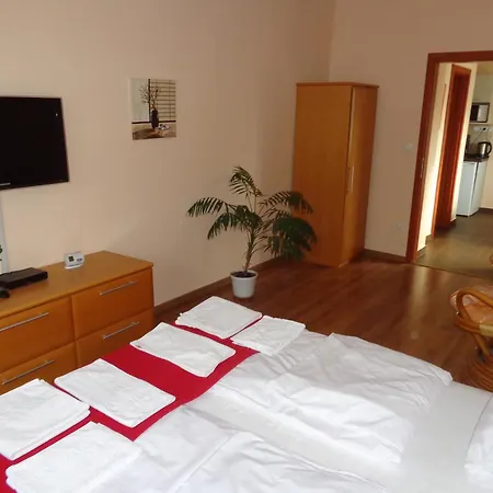 Nyirfa Apartmán *