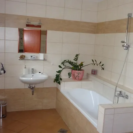 Nyirfa Apartmanhaz Sarvar