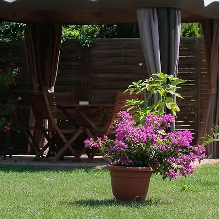 Nyirfa Apartmanhaz Sarvar