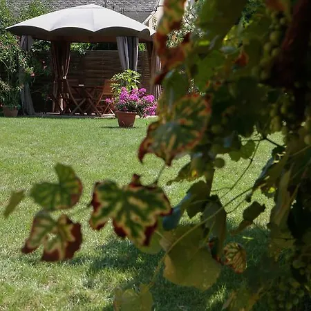 Apartment Nyirfa Apartmanhaz Sarvar
