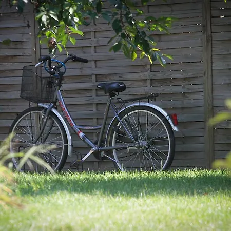 Nyirfa Apartmanhaz Sárvár