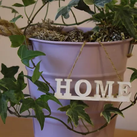 Apartamento Nyirfa Sárvár