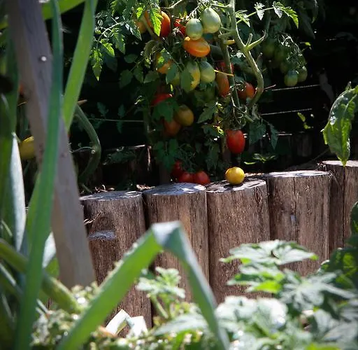 公寓 乃尔法公寓 *