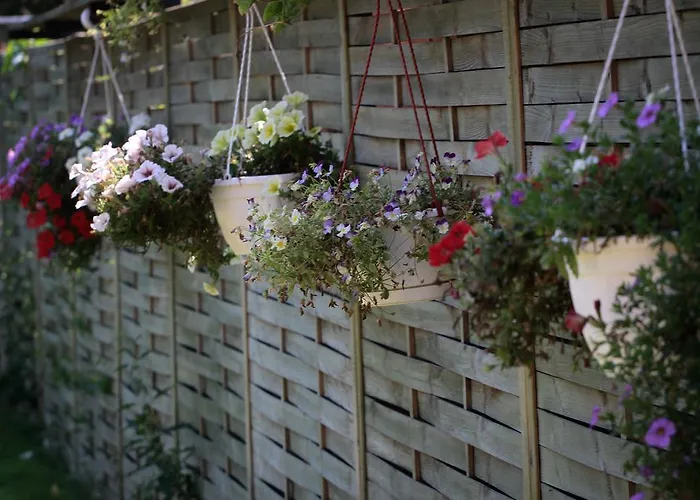 公寓 乃尔法公寓 Sárvár