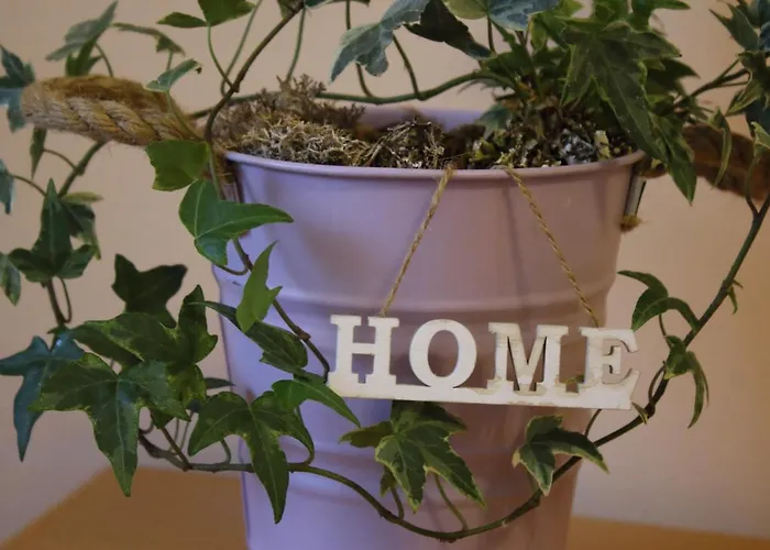 公寓 乃尔法公寓 Sárvár